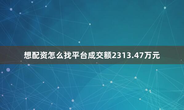 想配资怎么找平台成交额2313.47万元
