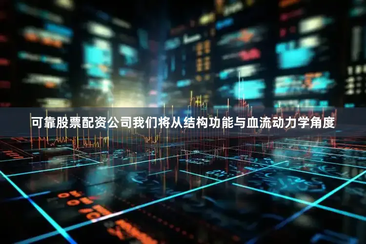 可靠股票配资公司我们将从结构功能与血流动力学角度